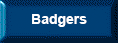 Badgers
