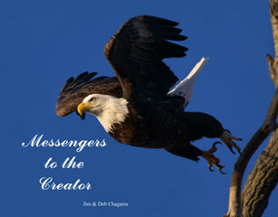 Messengers to the Creator