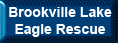 Brookville Lake Eagle Rescue