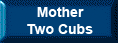 Mother Two Cubs